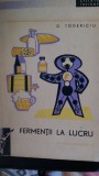 Fermentii la lucru D.Todericiu 1963