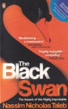 Nassim Nicholas Taleb - The Black Swan