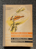 PATOLOGIA CHIRURGICALA A ANIMALELOR DOMESTICE - Marinescu, Gallo