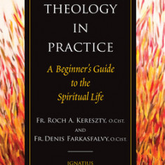 Theology in Practice: A Beginner's Guide to the Spiritual Life