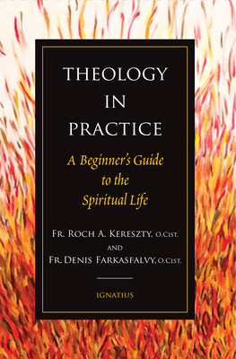 Theology in Practice: A Beginner&amp;#039;s Guide to the Spiritual Life foto