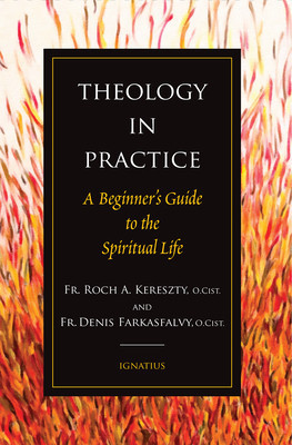 Theology in Practice: A Beginner&#039;s Guide to the Spiritual Life