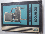 Rocambole - Ponson Du Terraille volumul 1