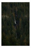Tablou Canvas, "Cascada ascunsă &icirc;n pădurea deasă", Cascadă, Pădure, Brazi, Roci, Natură, 26 x 39 cm, CMCLASS
