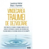 Vindecarea traumei de dezvoltare. Ghid practic de tratare a traumei complexe si de lucru cu experientele adverse din copilarie (ACE) folosind Modelul