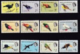 DB1 Fauna Pasari 1962 British Honduras 12 v. MNH