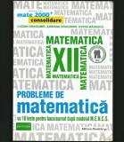 Cumpara ieftin PROBLEME DE MATEMATICĂ CLASA A XII-A CU 10 TESTE BAC, LUCIAN DRAGOMIR MATE 2000+