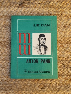 ANTON PANN-ILIE DAN foto