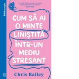 Cum sa ai o minte linistita intr-un mediu stresant - Chris Bailey, Oana Pascu