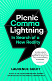 Picnic Comma Lightning | Laurence Scott, 2020