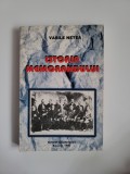 VASILE NETEA - ISTORIA MEMOMRANDULUI DIN TRANSILVANIA SI BANAT, BUCURESTI, 1993