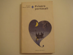 Printre portocali - Vicente Blasco Ibanez Editura Eminescu 1981 foto