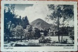Carte postala, Baia Mare, parc, inceput de secol XX