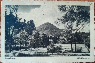 Carte postala, Baia Mare, parc, inceput de secol XX foto