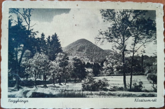 Carte postala, Baia Mare, parc, inceput de secol XX