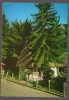 CPIB 24037 - CARTE POSTALA - JUDETUL ALBA - COMUNA AVRAM IANCU, CASA MEMORIALA, NECIRCULATA, 1975, DANTELATA, Fotografie