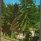 CPIB 24037 - CARTE POSTALA - JUDETUL ALBA - COMUNA AVRAM IANCU, CASA MEMORIALA, NECIRCULATA, 1975, DANTELATA