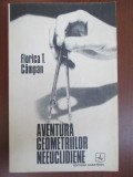 Aventura geometriilor neeuclidiene Florica T.Campan