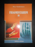 Nicu Teodorescu - Fragmentarium