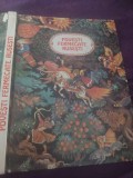 POVESTI FERMECATE RUSESTI,carte de povesti si povestiri in romaneste ,carte veche pentru copii