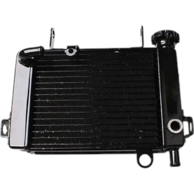 Radiator Honda CBR125R 2004-2011 foto
