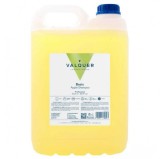 Sampon cu mar pentru toate tipurile de par Valquer 5000 ml