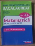 Simularea examenului de bacalaureat: Matematica clasa a 11-a - Lucian Dragomir, Adriana Dragomir