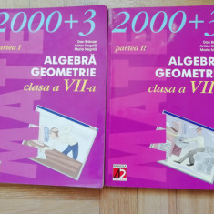 Algebra Geometrie clasa a VII-a - Dan Branzei, Anton Negrila, Maria Negrila