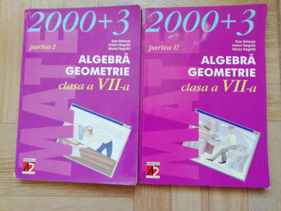 Algebra Geometrie clasa a VII-a - Dan Branzei, Anton Negrila, Maria Negrila foto