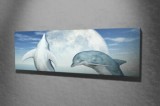 Tablou decorativ, Vega, Canvas 100 procente, lemn 100 procente, 30 x 80 cm, 265VGA1120, Multicolor