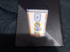 Fanion U Craiova foto