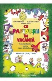 Cu Papidusii in vacanta. Nivelul 2 - Livia Andreescu, Elisabeta Martac, Dorina Telea