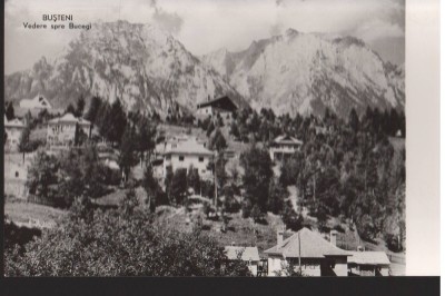 CPIB 22563 - CARTE POSTAL - BUSTENI, VEDERE SPRE BUCEGI, RPR, NECIRCULATA foto
