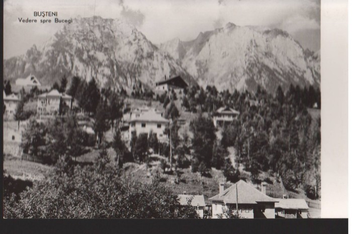CPIB 22563 - CARTE POSTAL - BUSTENI, VEDERE SPRE BUCEGI, RPR, NECIRCULATA