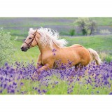 Cumpara ieftin Puzzle Cai, 2X24 Piese, Ravensburger