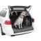Husa protectie portbagaj Dexter SUV 106x94cm pentru transport animale companie cu margini laterale inaltate AutoDrive ProParts