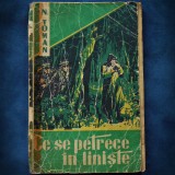 CE SE PETRECE IN LINISTE - N. TOMAN