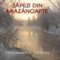 Zapezi din miazanoapte. Ambasador in Finlanda