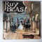 Ruy Blas Victor Hugo dublu disc vinil dramatizare Electrecord