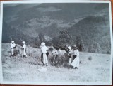 Fotografie, taranci la munca campului, Romania, perioada interbelica