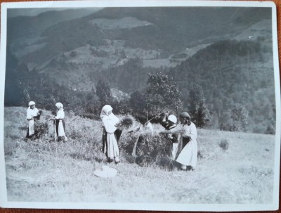 Fotografie, taranci la munca campului, Romania, perioada interbelica foto