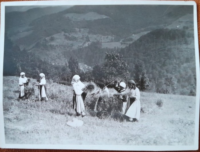 Fotografie, taranci la munca campului, Romania, perioada interbelica