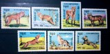CAMBODGIA 1984 fauna animale c&acirc;ini de rasă , serie 7v neștampilată
