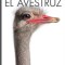 El Avestruz