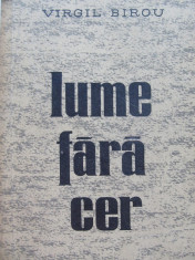 Lume fara cer - Virgil Birou foto