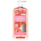 PAPOUTSANIS Karavaki Nutrition &amp; Hydration sampon hranitor 600 ml