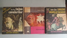 Ioan Dan - Cavalerii ordinului Basarab , Cavalerii , Taina cavalerilor
