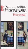 AS - GABRIELA ADAMESTEANU - PROVIZORAT
