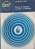 Plante si Animale Ocrotite Romania - Constantin Parvu - Editura Ceres 1983 - Carte Biologie, Stiinta pentru Toti, Coperta Necartonata