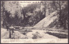 405 - Arges, Defileul DAMBOVICIOAREI, Romania - old postcard - unused, Necirculata, Printata